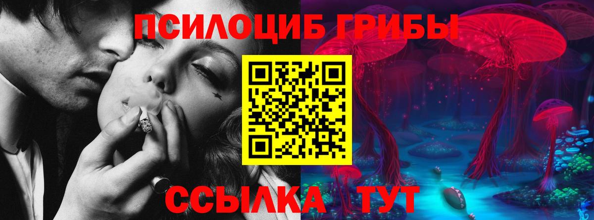 Псилоцибиновые грибы Psilocybine cubensis  Вход с VPN  Галлюциногенные грибы GOLDEN TEACHER  Алушта 